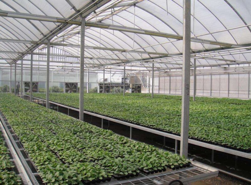 Designing an HVAC System for Indoor Agriculture Green room